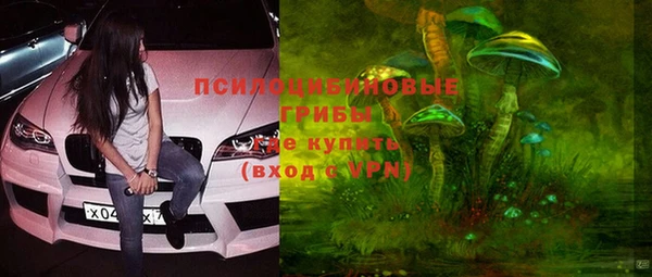 дмт Алексин