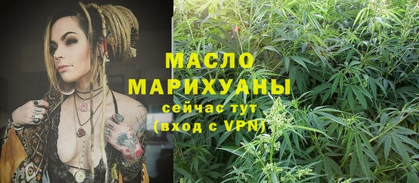 дмт Алексин