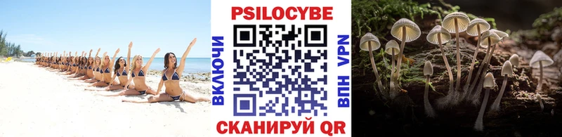 Галлюциногенные грибы прущие грибы  Юрьев-Польский 